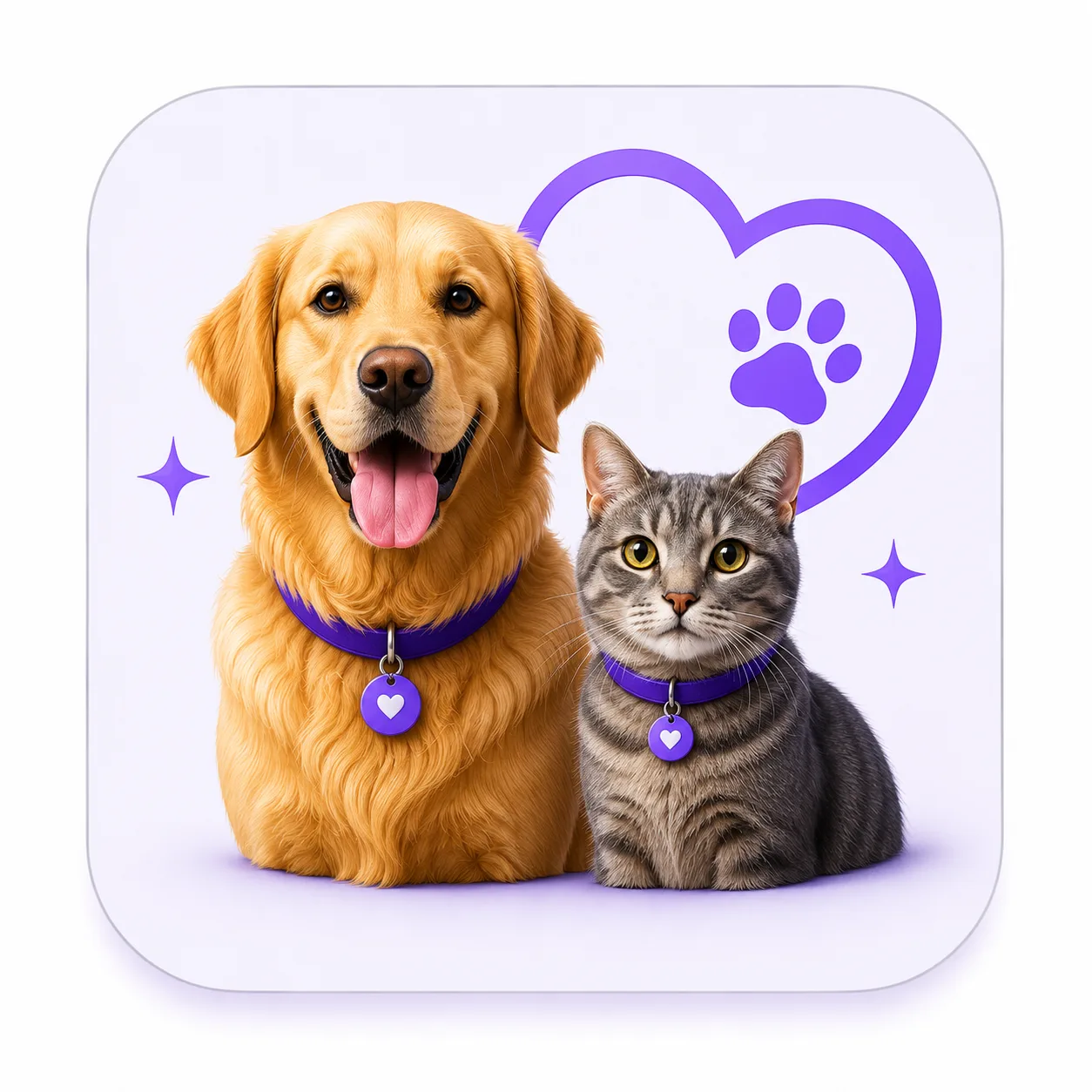 Pet care